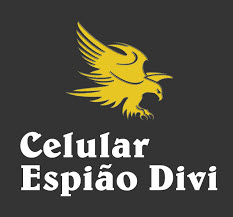 Tudo o que precisa saber sobre o Celular Espião Divi