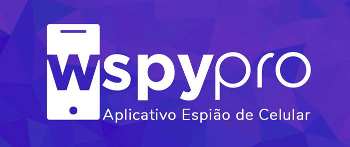 Tudo o que precisa saber sobre o wSpy Pro