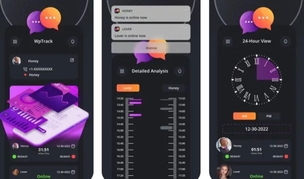 WpTrack WhatsApp Online-Aktivit&auml;ten Checker
