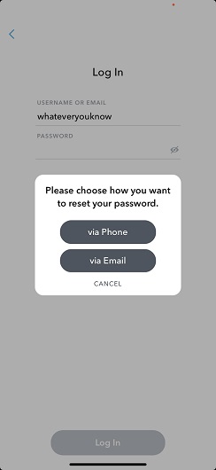 Choosing to Reset Your Password for Hacking Snapchat Password on Android