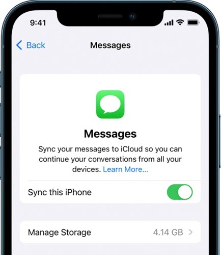 Check online messages via iCloud