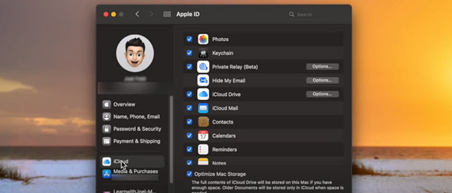 Setup your iCloud sync settings
