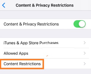 Restrict TikTok on iPhone via Content Restrictions