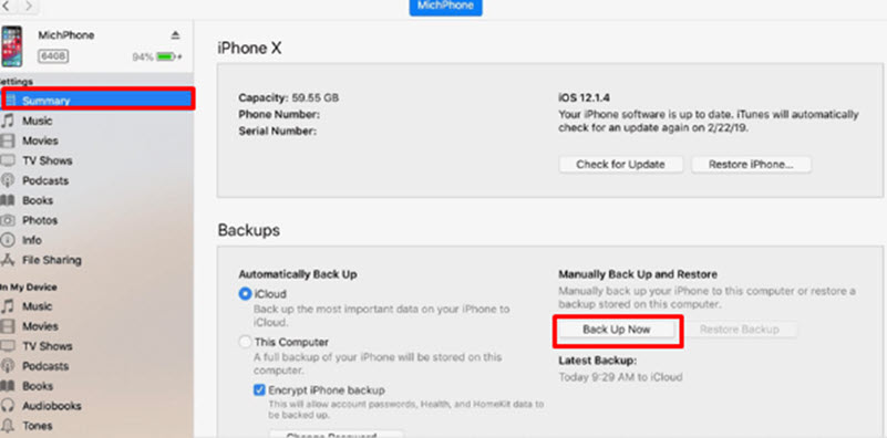 Select the Backup button to Clone an iPhone with iCloud