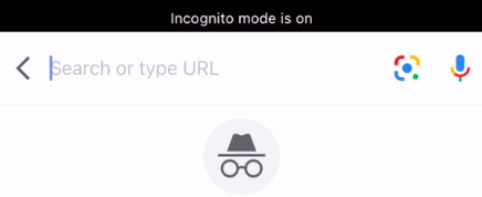 Incognito Mode Is on