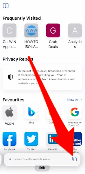 Open Safari and Tap on the Tabs Button