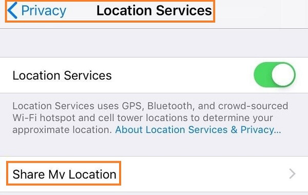 Tap on Privacy to Set Location Services