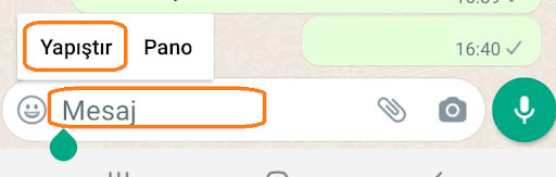 WhatsApp mesaj kopyalama